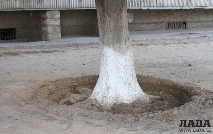 Полив по факту: Исполнение графика в Актау 25 июня