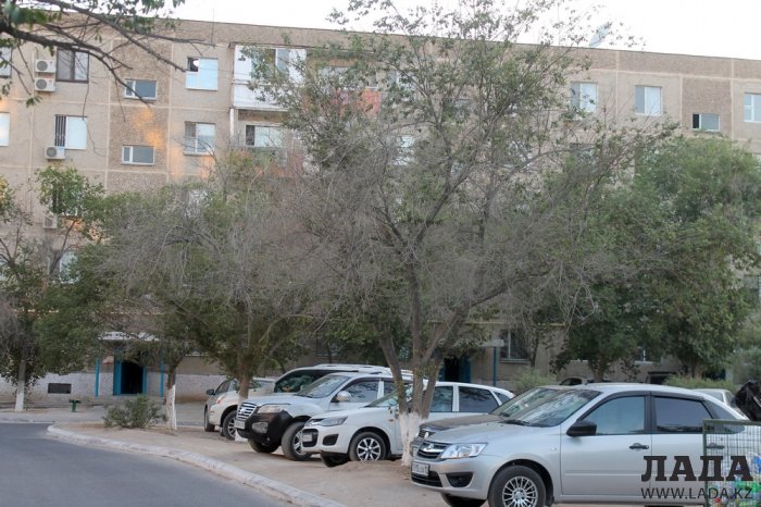 Полив по факту: Исполнение графика в Актау 25 июня