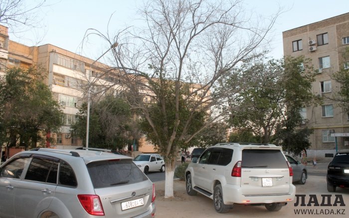 Полив по факту: Исполнение графика в Актау 25 июня