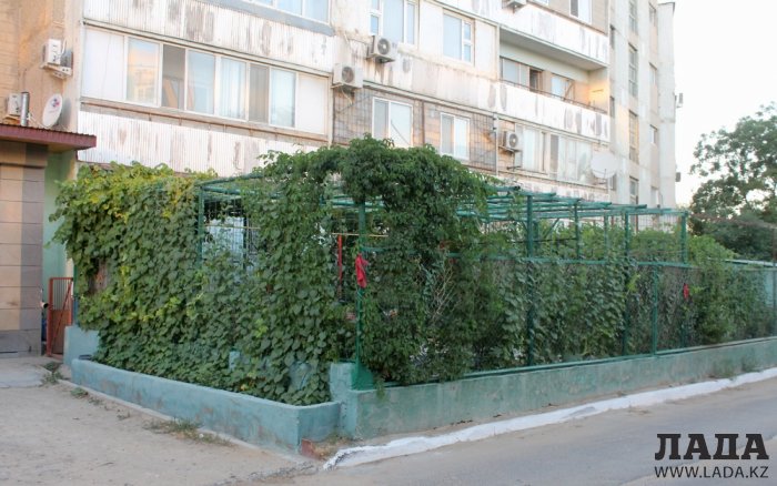 Полив по факту: Исполнение графика в Актау 25 июня