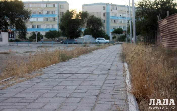 Полив по факту: Исполнение графика в Актау 25 июня