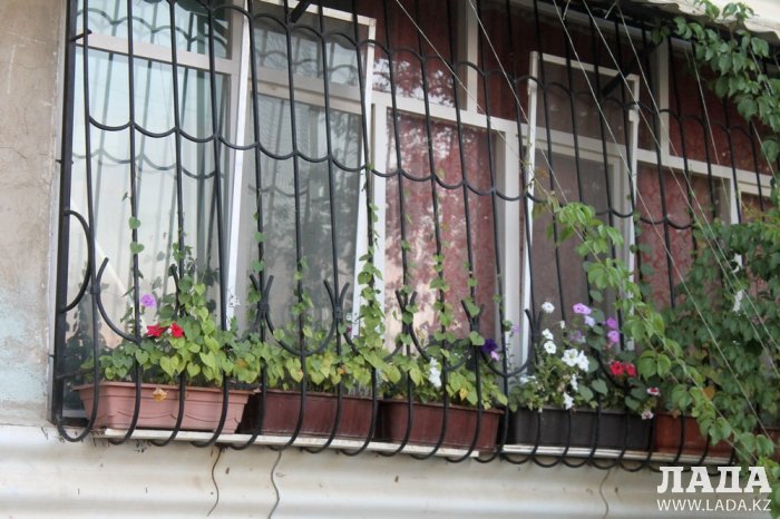 Полив по факту: Исполнение графика в Актау 25 июня