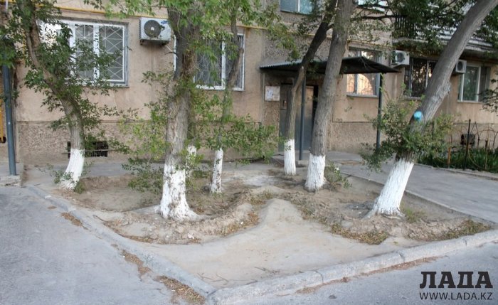 Полив по факту: Исполнение графика в Актау 26 июня