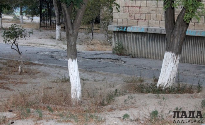 Полив по факту: Исполнение графика в Актау 26 июня