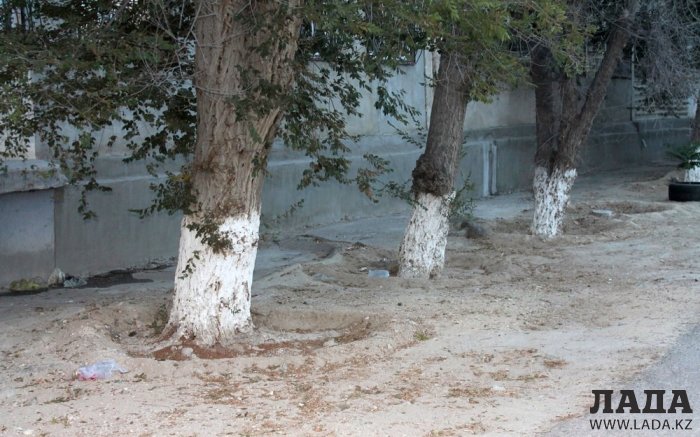 Полив по факту: Исполнение графика в Актау 26 июня