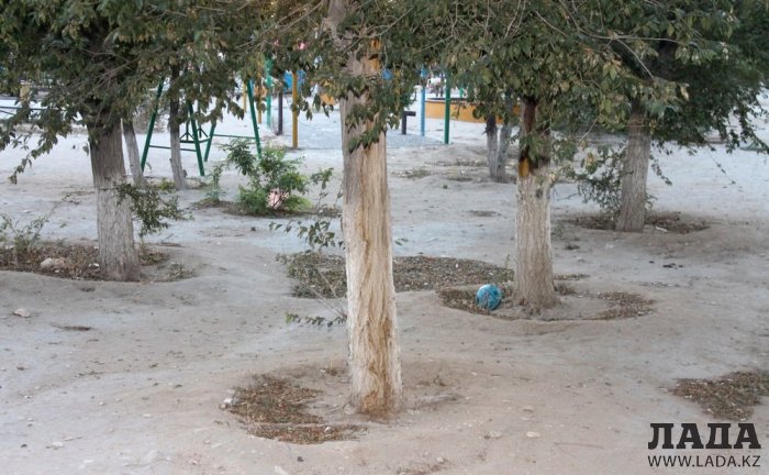 Полив по факту: Исполнение графика в Актау 26 июня