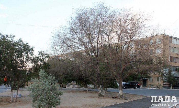 Полив по факту: Исполнение графика в Актау 26 июня