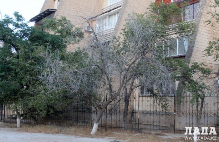 Полив по факту: Исполнение графика в Актау 26 июня