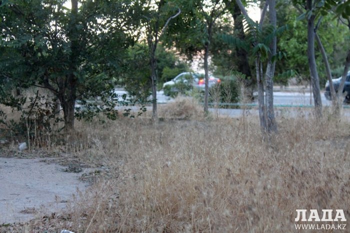 Полив по факту: Исполнение графика в Актау 26 июня