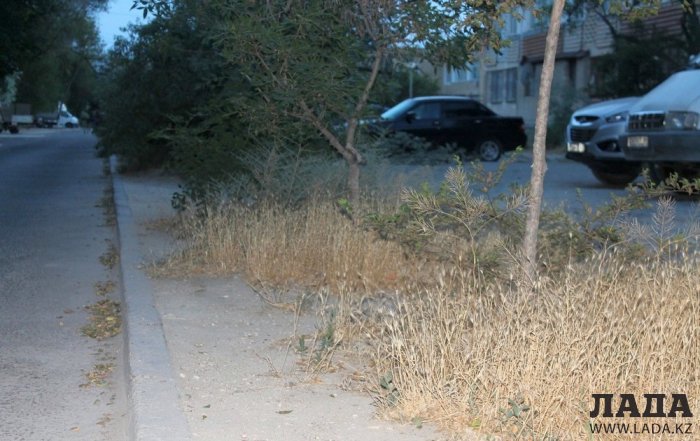 Полив по факту: Исполнение графика в Актау 26 июня