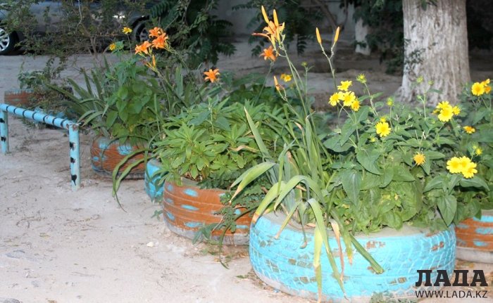 Полив по факту: Исполнение графика в Актау 26 июня