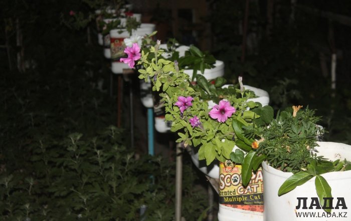 Полив по факту: Исполнение графика в Актау 26 июня