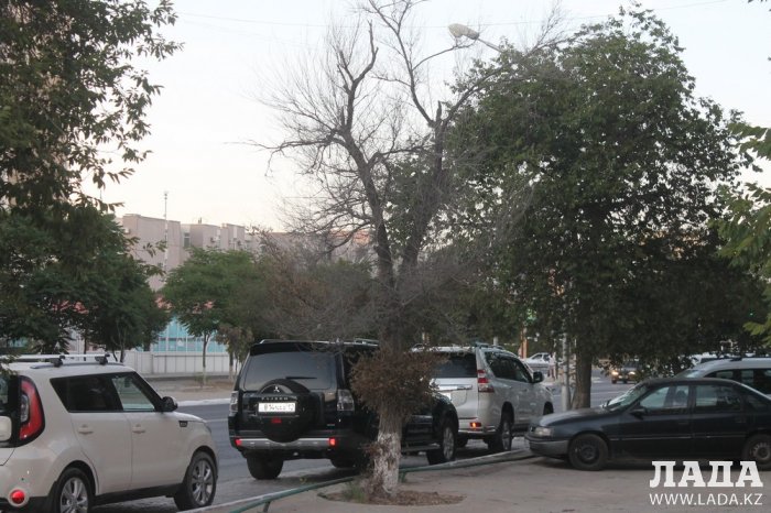 Полив по факту: Исполнение графика в Актау 26 июня