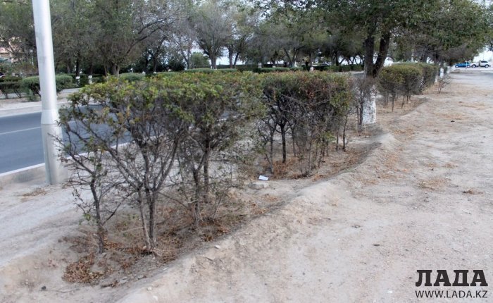 Полив по факту: Исполнение графика в Актау 26 июня