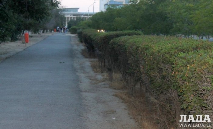 Полив по факту: Исполнение графика в Актау 26 июня