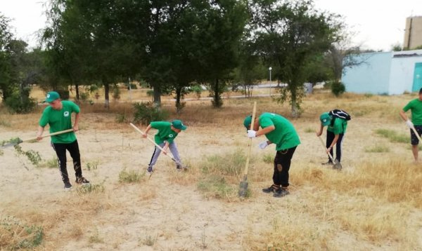 Экстренные меры: Спасать Актау от сухостоя начали 300 подростков и студентов