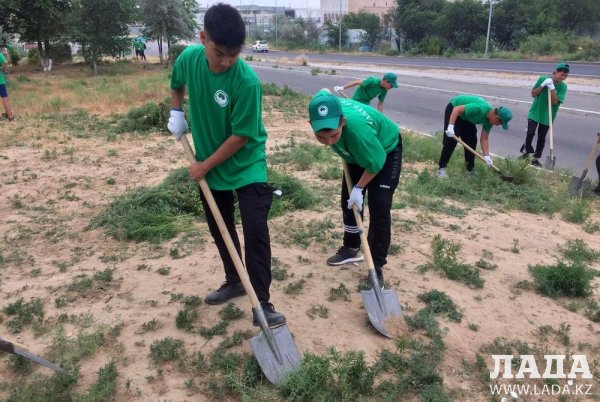 Экстренные меры: Спасать Актау от сухостоя начали 300 подростков и студентов