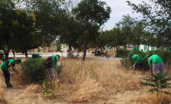 Экстренные меры: Спасать Актау от сухостоя начали 300 подростков и студентов