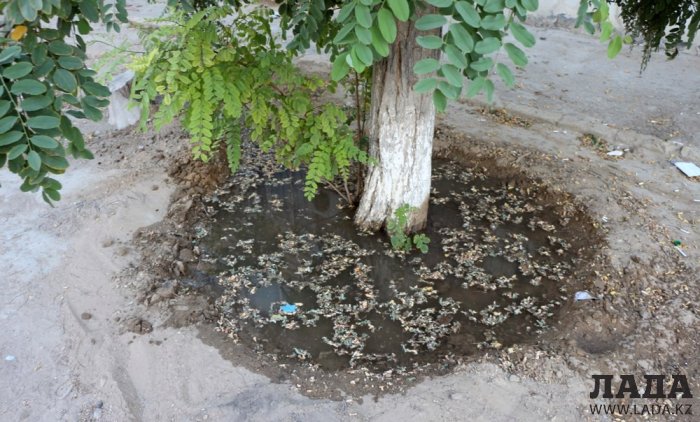 Полив по факту: Исполнение графика в Актау 28 июня