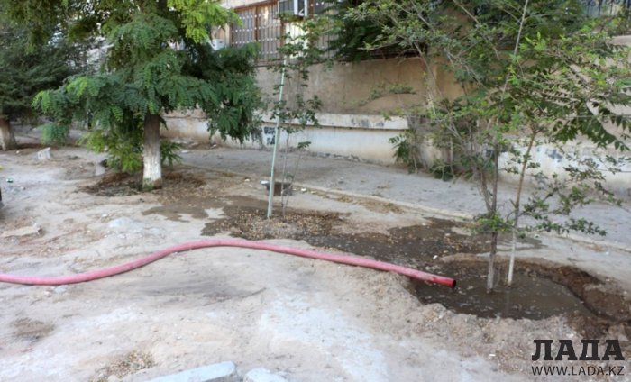 Полив по факту: Исполнение графика в Актау 28 июня