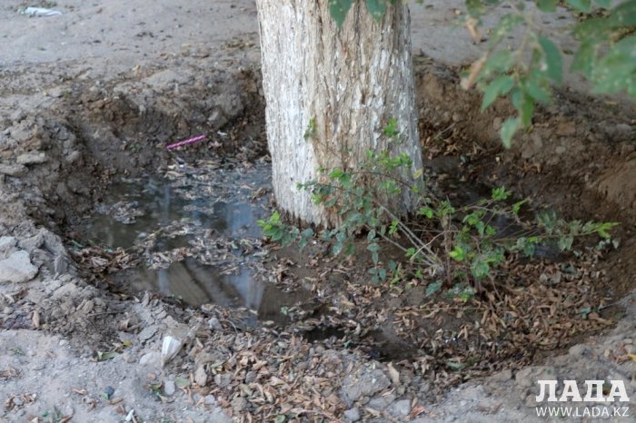 Полив по факту: Исполнение графика в Актау 28 июня