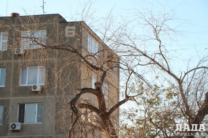 Полив по факту: Исполнение графика в Актау 28 июня