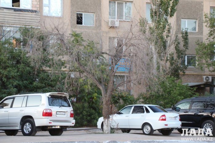 Полив по факту: Исполнение графика в Актау 28 июня