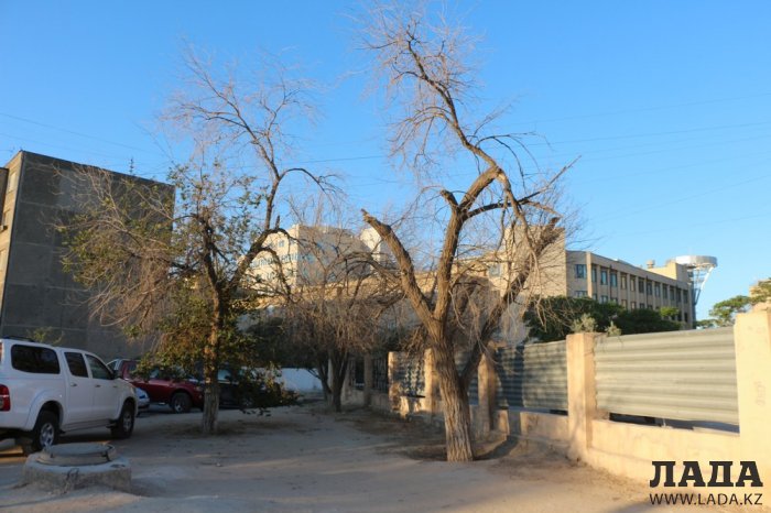 Полив по факту: Исполнение графика в Актау 28 июня