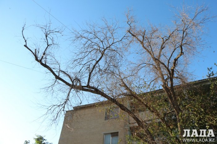 Полив по факту: Исполнение графика в Актау 28 июня