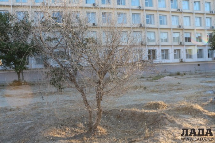 Полив по факту: Исполнение графика в Актау 28 июня