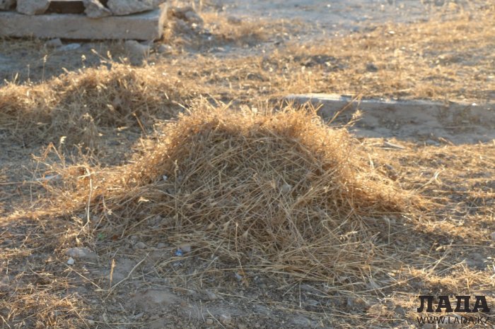 Полив по факту: Исполнение графика в Актау 28 июня