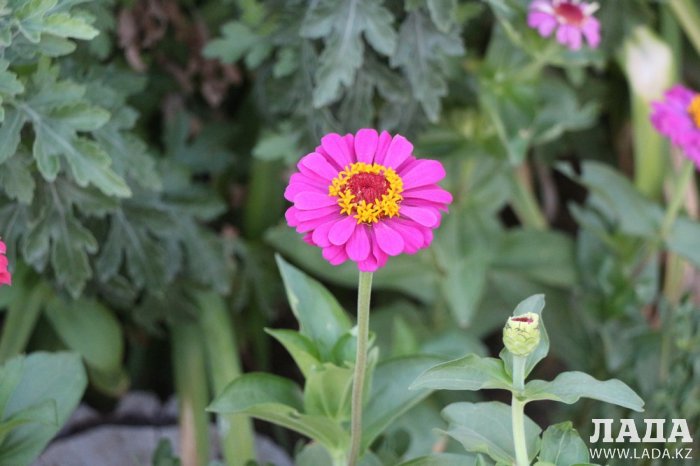 Полив по факту: Исполнение графика в Актау 28 июня