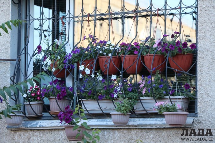 Полив по факту: Исполнение графика в Актау 28 июня