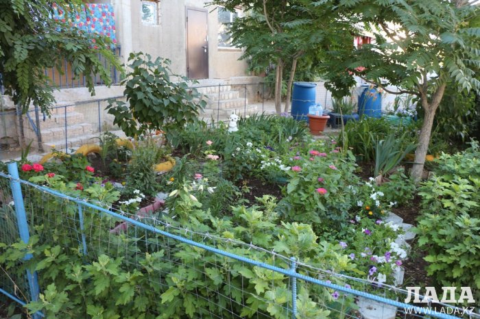 Полив по факту: Исполнение графика в Актау 28 июня