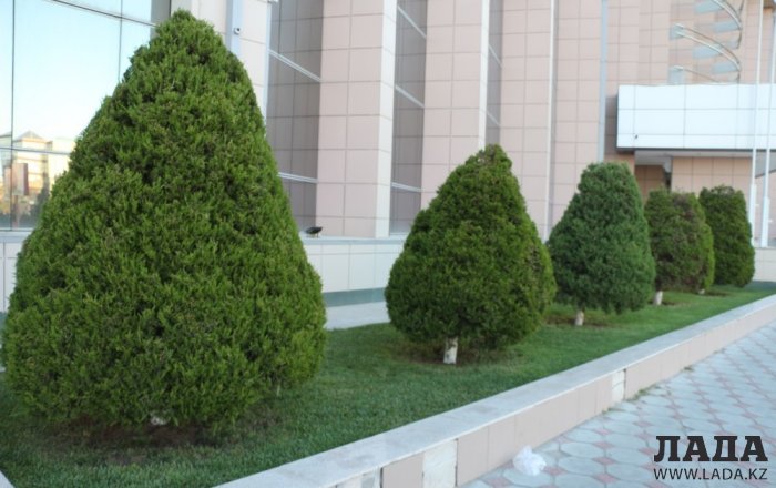 Полив по факту: Исполнение графика в Актау 28 июня