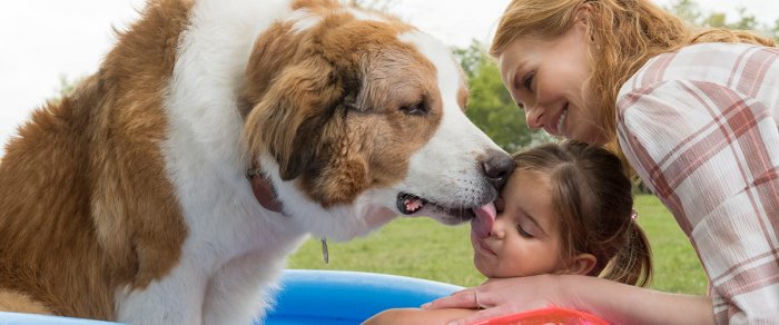 Как провести ближайшие выходные в Актау