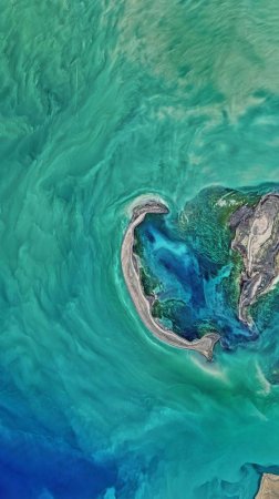 Эко субботник