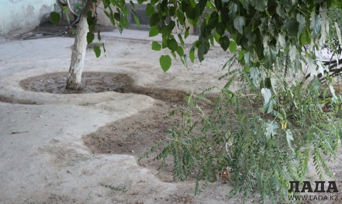 Полив по факту: Исполнение графика в Актау 28 июня