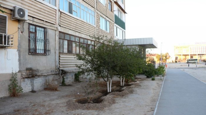 Полив по факту: Исполнение графика в Актау 28 июня