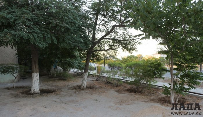 Полив по факту: Исполнение графика в Актау 28 июня