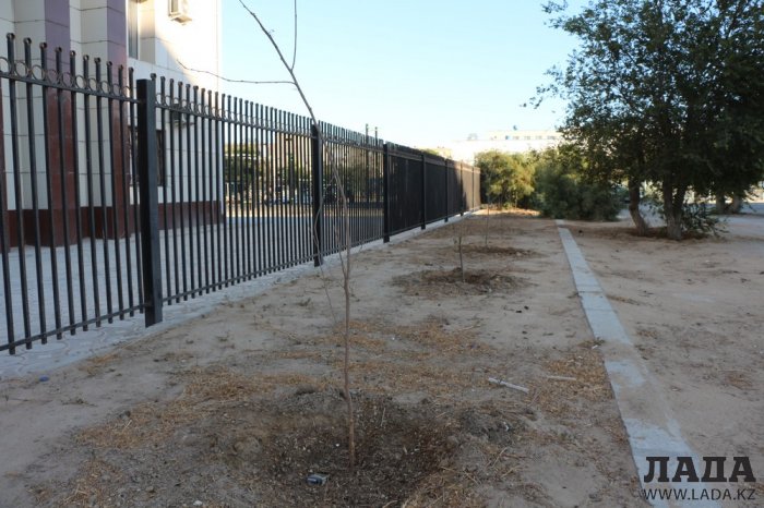 Полив по факту: Исполнение графика в Актау 28 июня