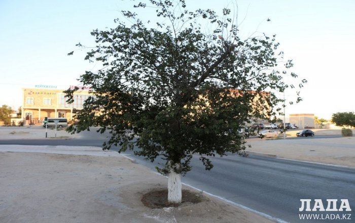 Полив по факту: Исполнение графика в Актау 28 июня