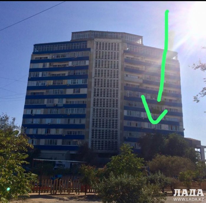 Жительница Актау возмутилась спиливанием живых деревьев