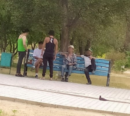 Культурный отдых