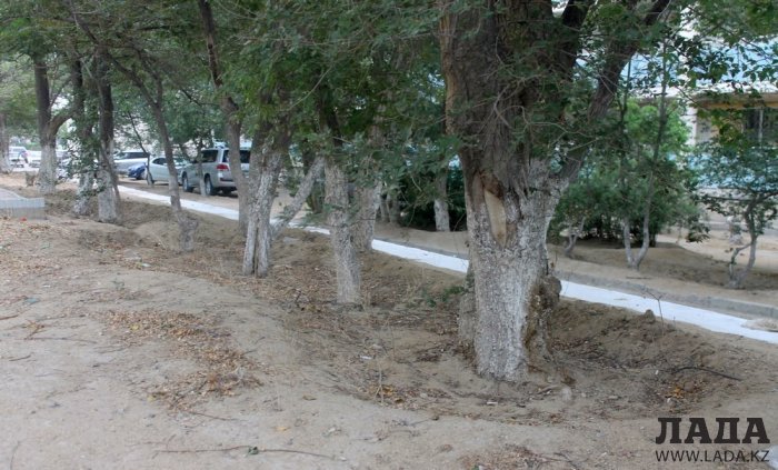 Полив по факту: Исполнение графика в Актау 29 июня