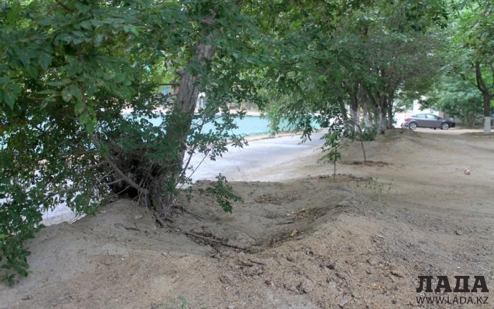 Полив по факту: Исполнение графика в Актау 29 июня