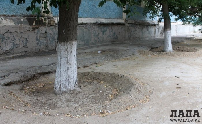 Полив по факту: Исполнение графика в Актау 29 июня