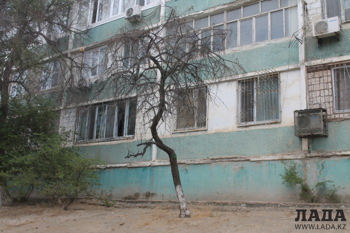 Полив по факту: Исполнение графика в Актау 29 июня