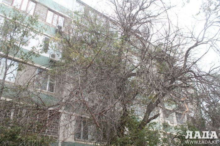 Полив по факту: Исполнение графика в Актау 29 июня