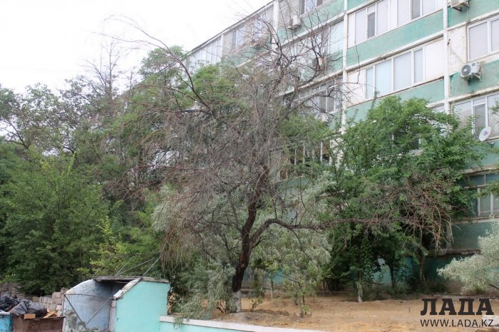 Полив по факту: Исполнение графика в Актау 29 июня